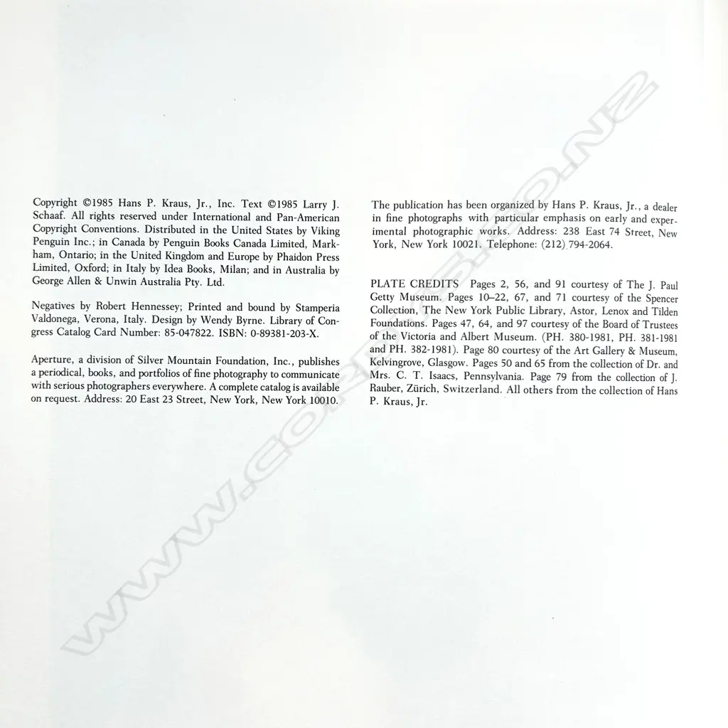 ANNA ATKINS: SUN GARDENS VICTORIAN PHOTOGRAMS Image 1++